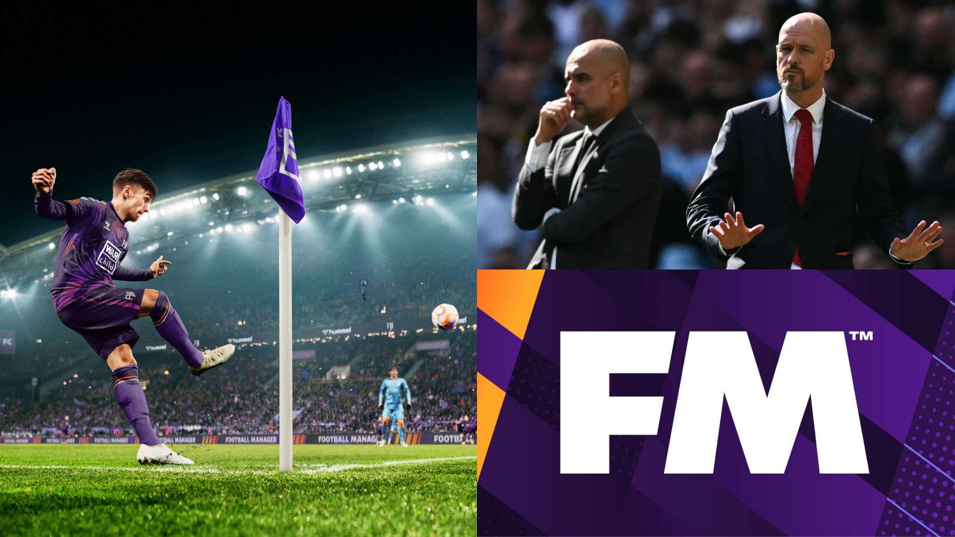 部在荷兰杯 部在荷兰杯